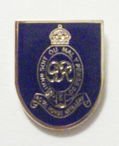 ROYAL HORSE ARTILLERY LAPEL PIN OR WALKING STICK MOUNT - Picture 2 of 3