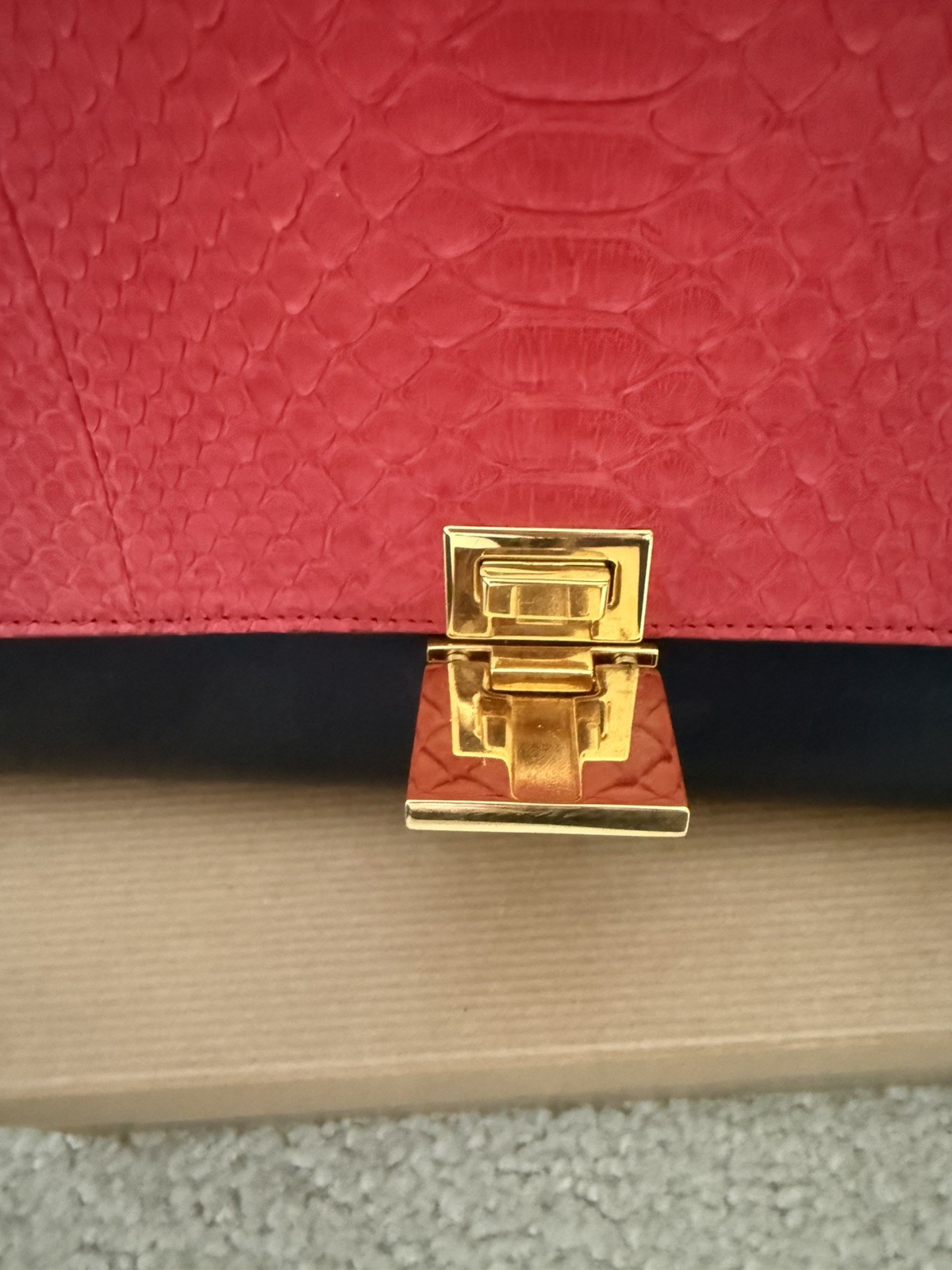 Celine Python Bag - image 4