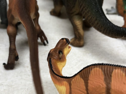 Safari Ltd Dinosaur Figures Lot Of 10 T Rex Dilophosaurus Carnege Allosaurus ++ - Picture 10 of 24