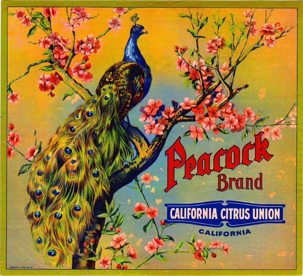 Peacock Brand California Citrus Union Orange Fruit Retro