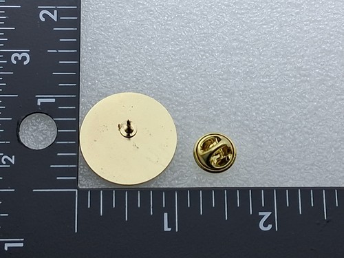 DAR Daughters of the American Revolution Focused on Florida FSSDAR Pin - Picture 2 of 2