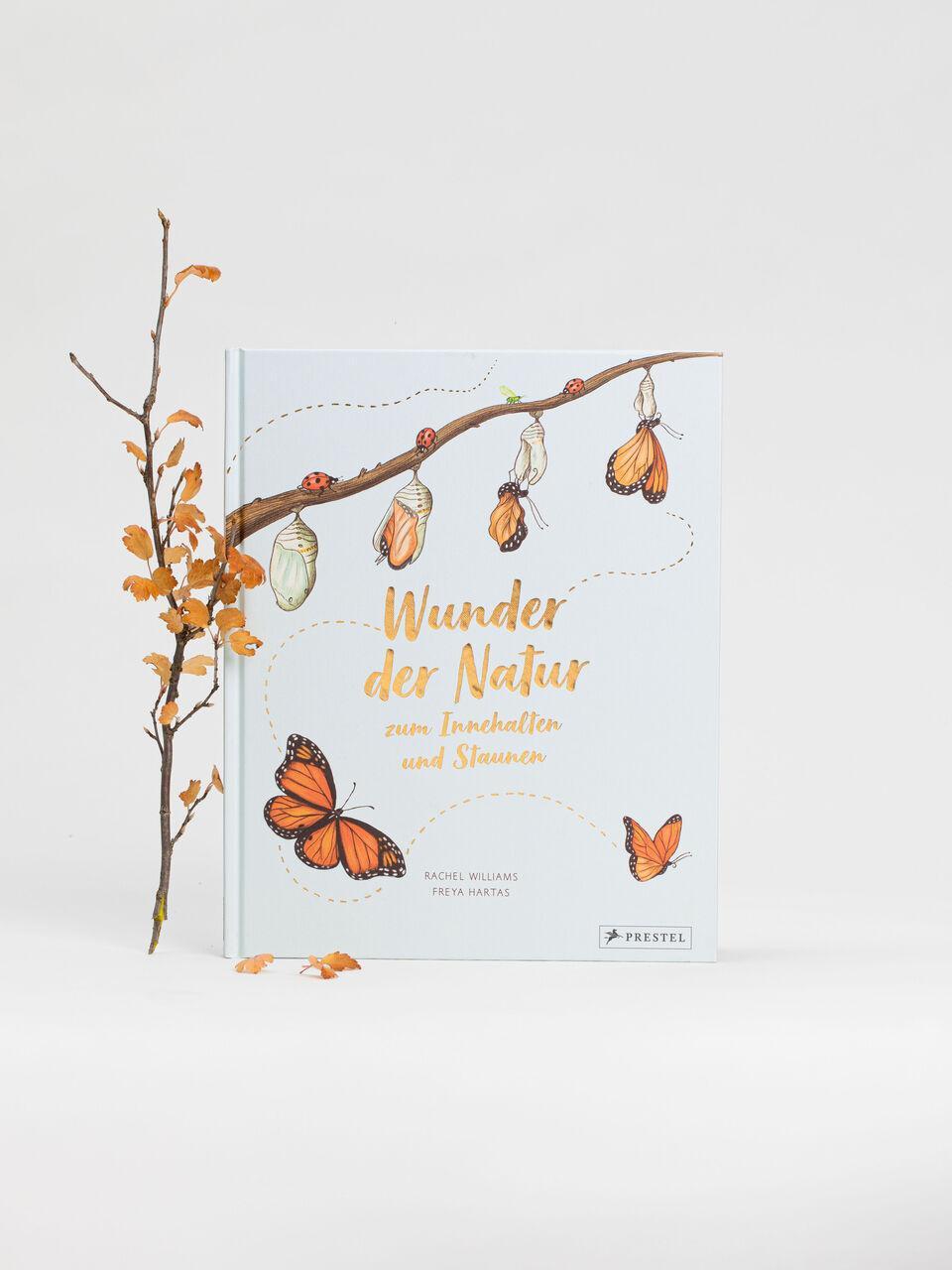 Thumbnail - Rachel Williams Wunder Der Natur Zum Innehalten Und Staunen