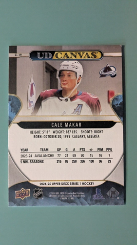 UPPER DECK 2024-25 Series 1, Canvas U-PICK Free combined shipping - Bild 23 von 103
