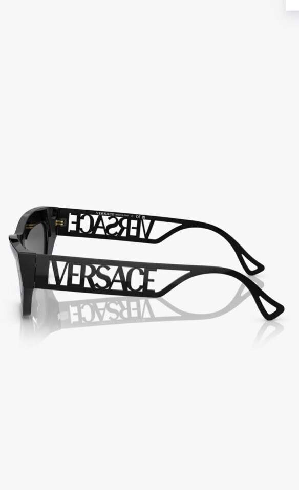 Versace luxury designer sunglasses for men and women-image