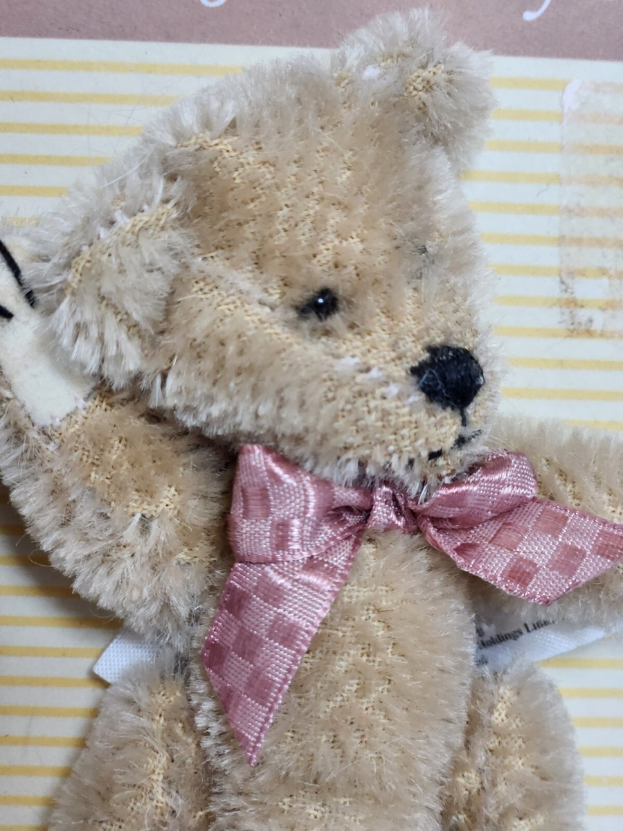  Teddy Bear 2001 コレクション Plush Teddys Teddy Bear 2001 100th Anniversary Limited