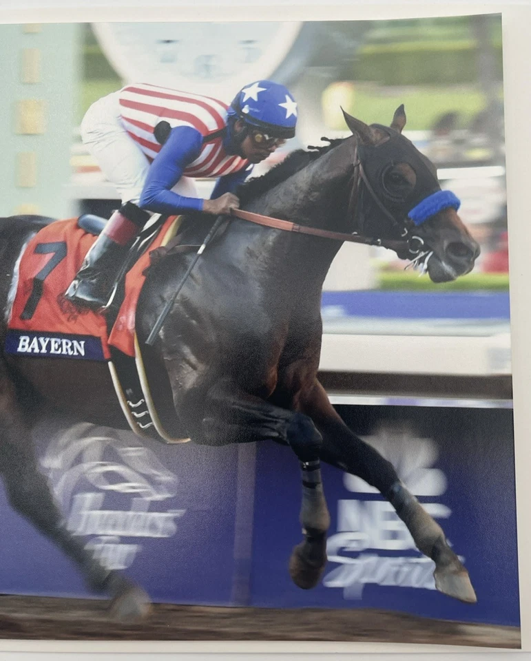 2014 Breeders Cup Grade 1 Classic Bayern & Martin Garcia 8x10 Photo - Image 3 of 4