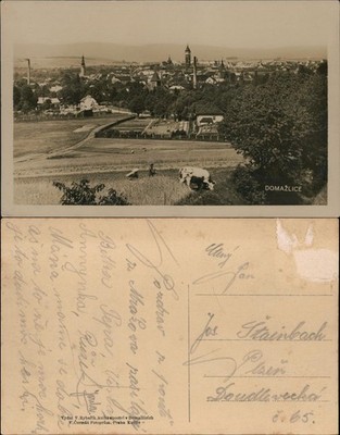 Postcard Taus Domažlice cow pasture on site 1930