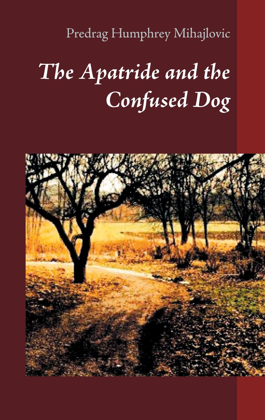 The Apatride And The Confused Dog | Predrag Humphrey Mihajlovic |