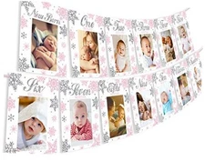  Snowflake Winter Onederland Photo Banner - Monthly Newborn to 12 Months pink