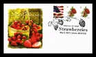 DR JIM STAMPS US COVER STRAWBERRIES 3C FIRST DAY ISSUE COMBO PANDA CACHET
