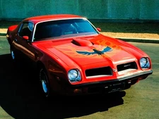 1974 PONTIAC FIREBIRD TRANS AM (RED) POSTER 24 X 36 INCH Looks Sweet!