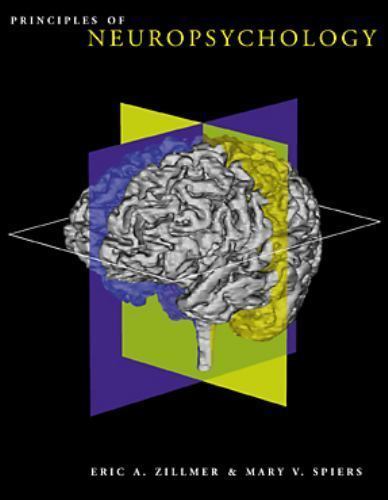 Prinzipien der Neuropsychologie von Zillmer, Eric A.; Spiers, Mary V. - Bild 1 von 1