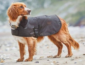 barbour wax dog coat