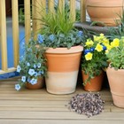 Foto 9 di 12
