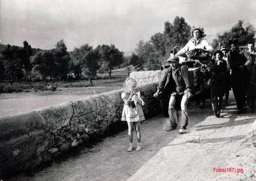 Verbotene Spiele - Brigitte Fossey - 18 Pressefotos - 17x24cm (3437) - Picture 17 of 18