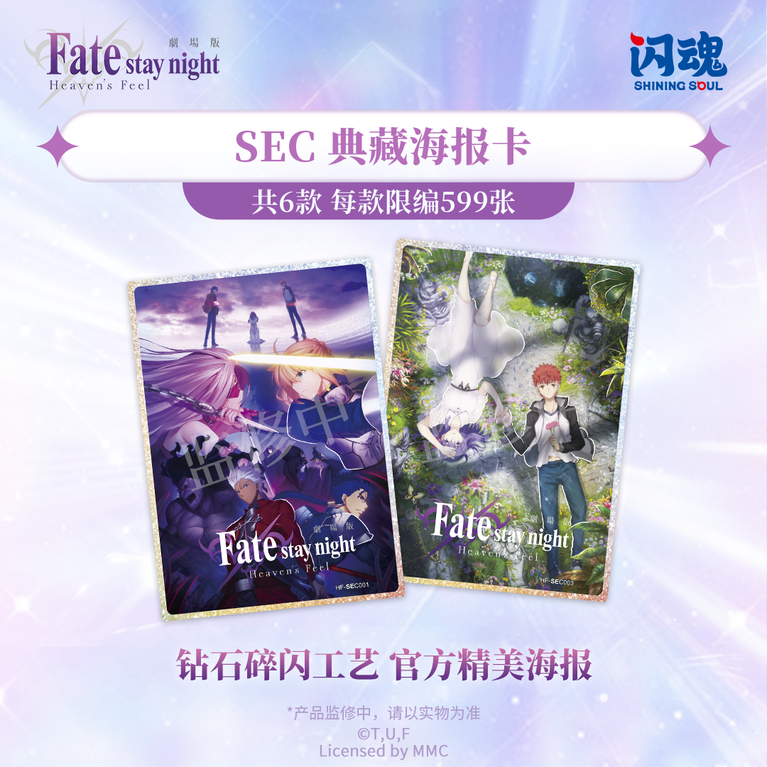 その他 Fate/ stay night FACT CARD COLLECTION SHININGSOUL Fate Stay Night Anime Collection Trading Card Booster