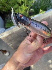 Custom Painted Bull Tank Style 1 3/8 Oz 4.1 Inches Topwater Juicy Bass