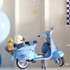 Foto 6 di 7