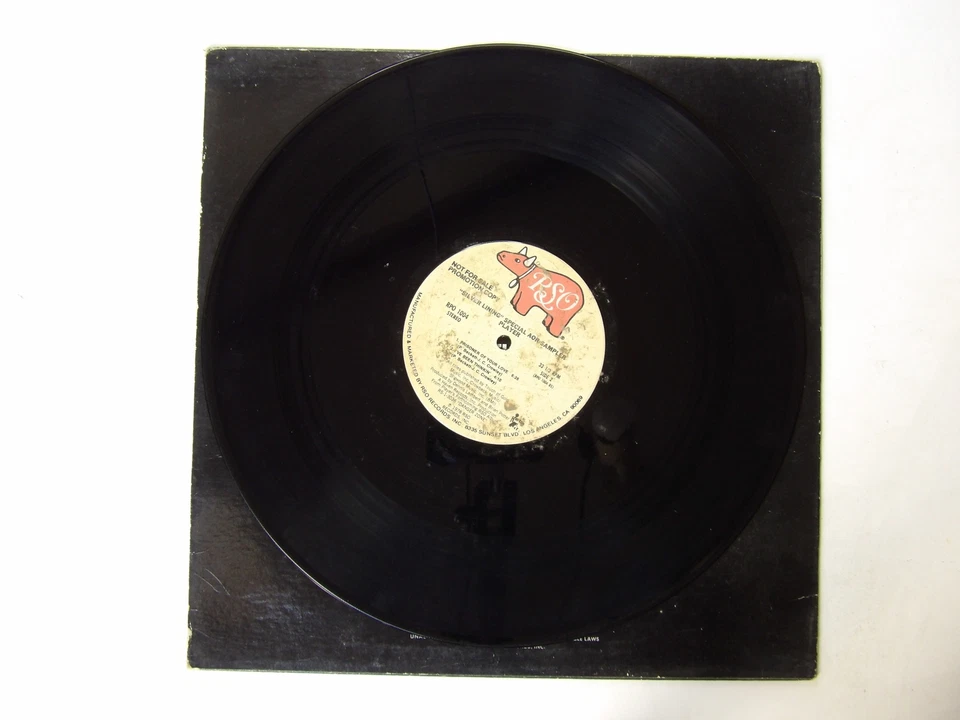 Player: Silver Lining 1978 U.S Promo Sampler 12" - Image 2 of 4