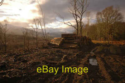 Photo 6x4 Tree felling in Glen Roy Bohuntinville Clearing trees just next c2008