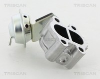 Triscan AGR Ventil 8813 13060 FüR Lexus Toyota Verso Auris Avensis RAV 4 VAN 4WD