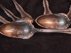 1881 Rogers Fruit Spoons-Set of 9-Pattern Unknown — photo 4