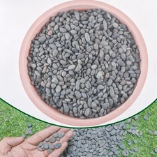 2.4lb River Rocks Pebbles for Plants & Succulents, Decorative Outdoor Landsca...
