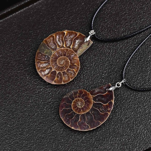 Natural Conch Shell Fossil Quartz Crystal Pendant Healing Mineral Necklace Stone - Picture 6 of 10