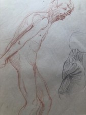 Disegno Anatomico anni 50 | Sanguigna e matita su carta non firmato | 21x27cm