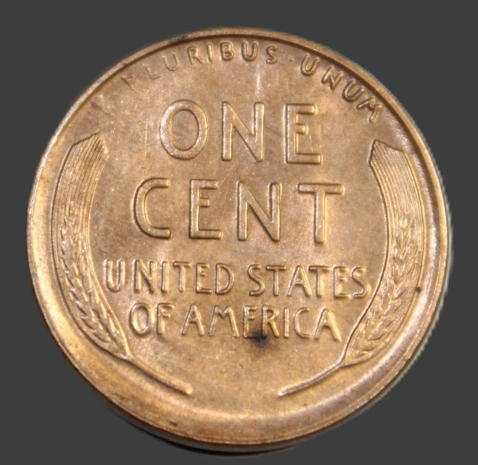 1925-S Lincoln Wheat Cent! AU/MS++ (DIPPED)-LAH-121 - Image 3 of 4
