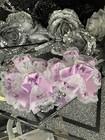 Bild 36 von 40