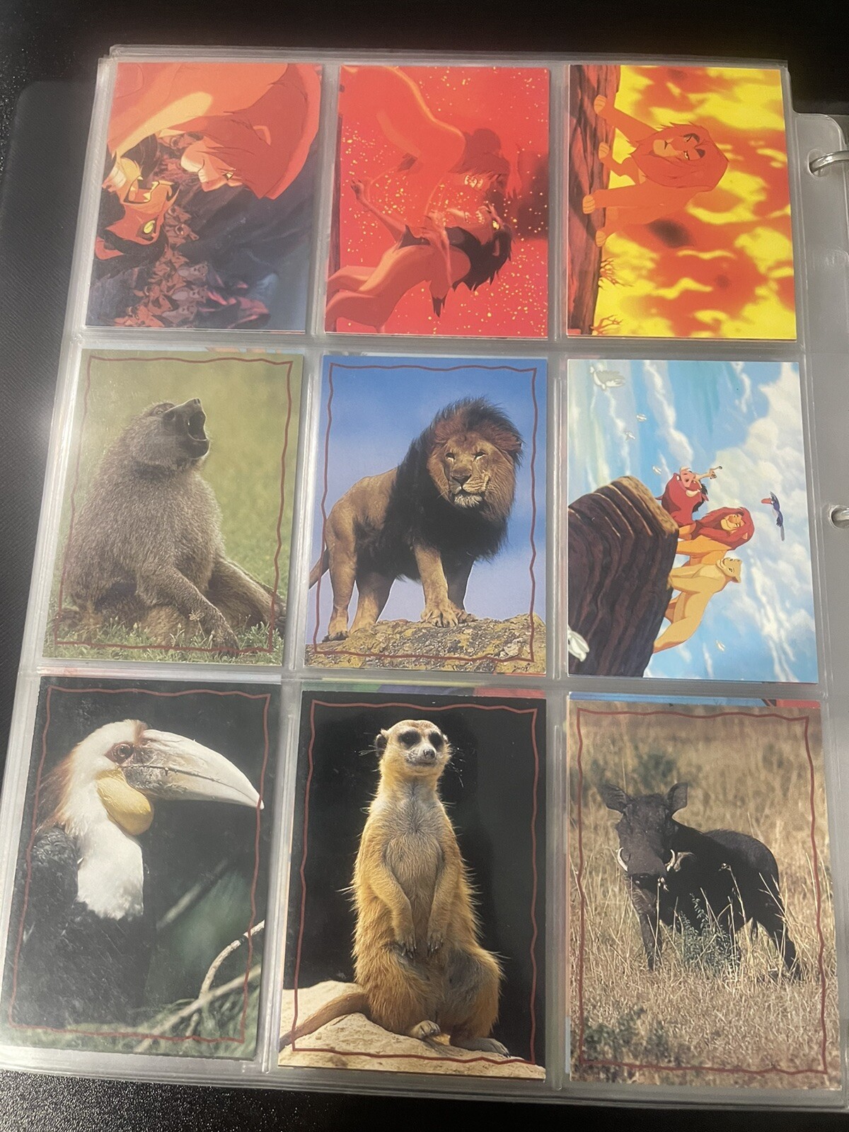Picture 6 of 12