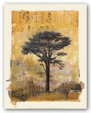 Presidio Cypress Donald Farnsworth Art Print 15x20