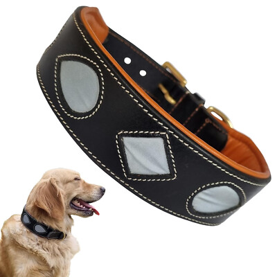 Ridex Premium Leather Dog Collar with Soft Padding, 2 inch Width .