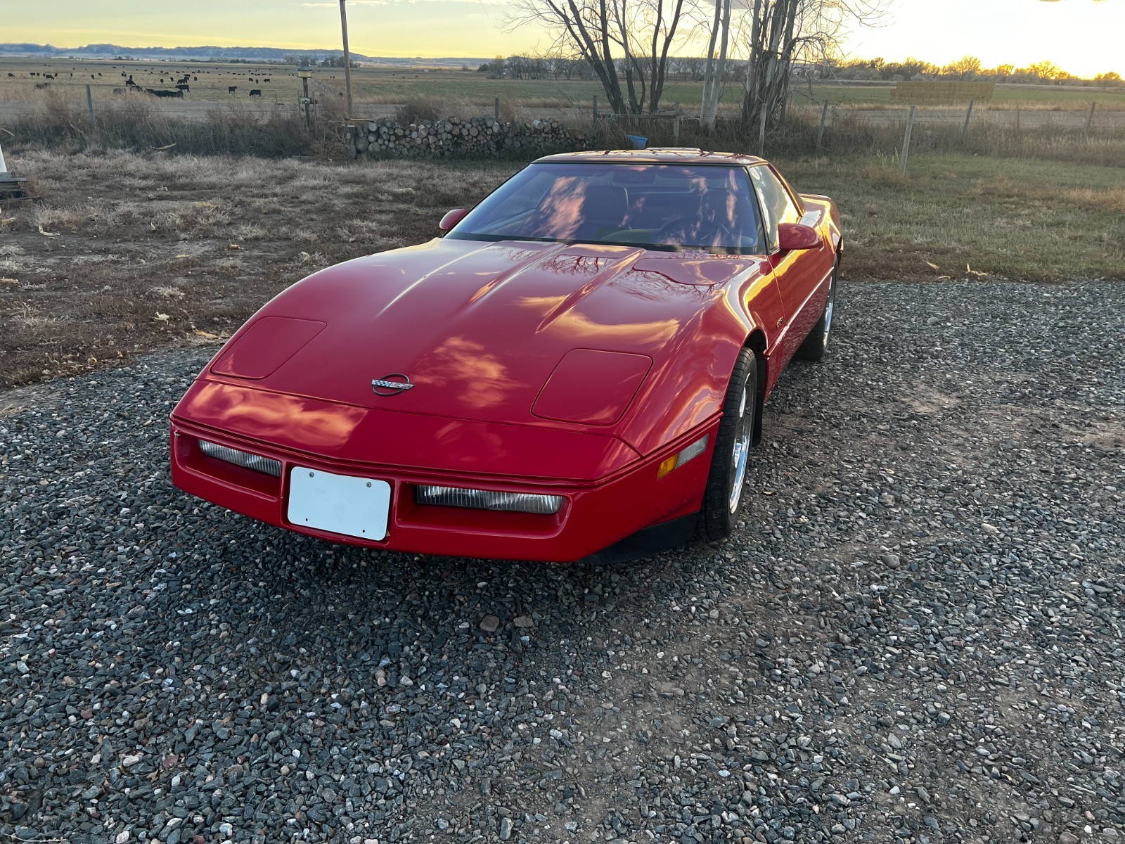 1990 Red Chevrolet Corvette   | C4 Corvette Photo 2