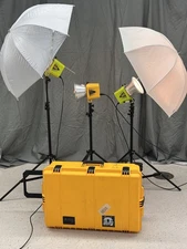 Paul C. Buff AlienBees Lighting Kit with Pelican Case