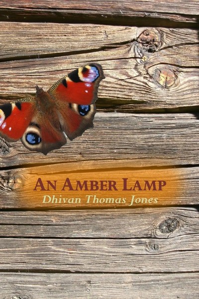 An Amber Lamp Dhivan Thomas Jones Taschenbuch Kartoniert / Broschiert Englisch-image