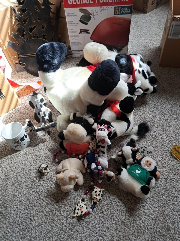 Box Of cows