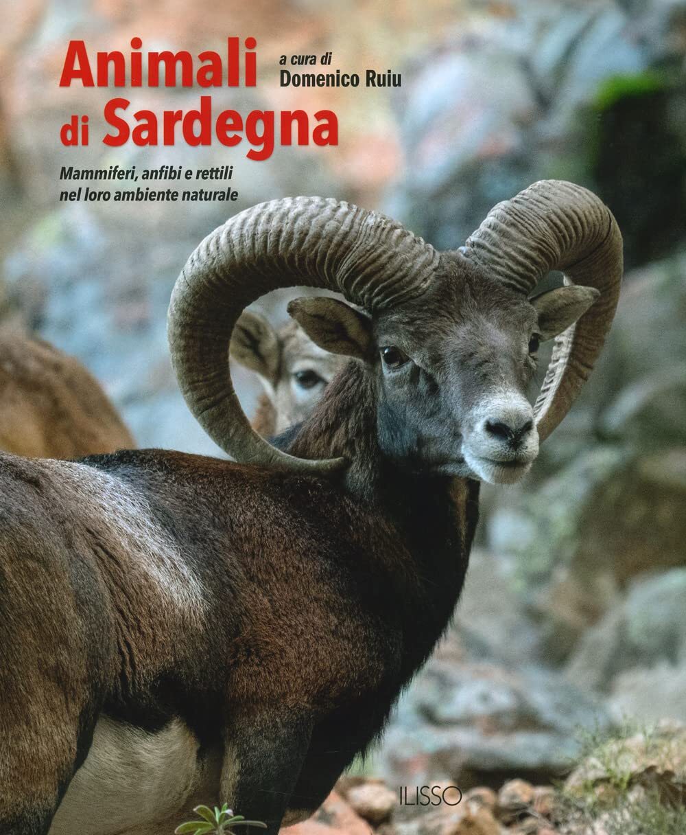 9788862024068 Animali di Sardegna. Mammiferi, anfibi e rettili n...z. illustrata