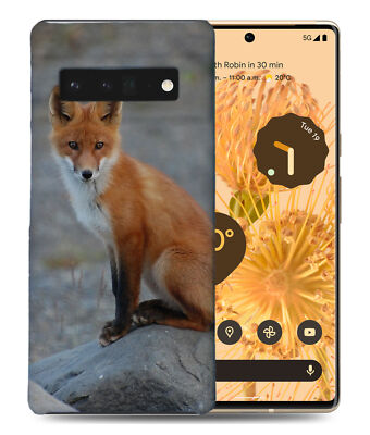 CASE COVER FOR GOOGLE PIXEL|FOX 12