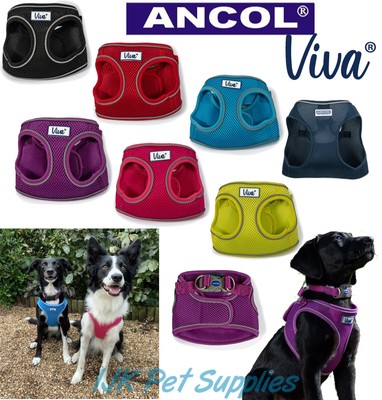 ancol dog harness