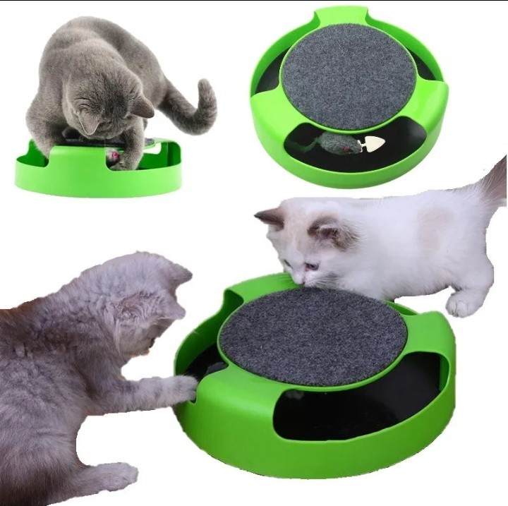 Gioco Gatto Interattivo Giradischi Pista Tiragraffi Topo Rotante Antinoia