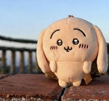 Anime Cute Chiikawa Usagi Plush Doll Keychain Pendant Toy Holiday Gifts New