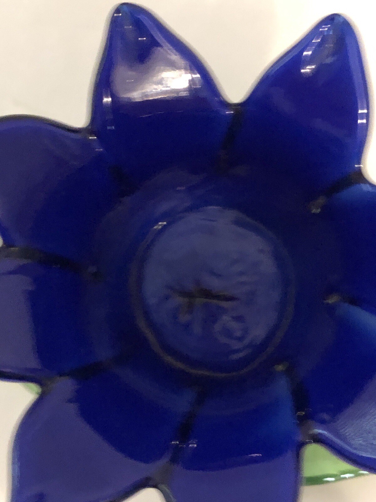 Picture 6 of 7