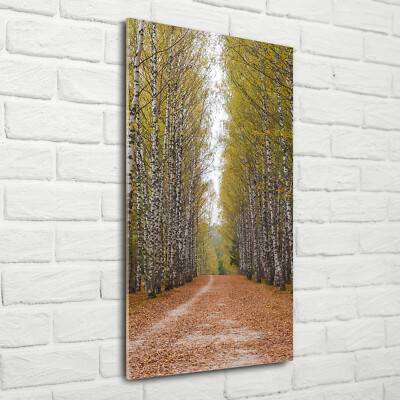 Wand-Bild Kunstdruck aus Hart-Glas Hochformat 70x140 Birkenwald