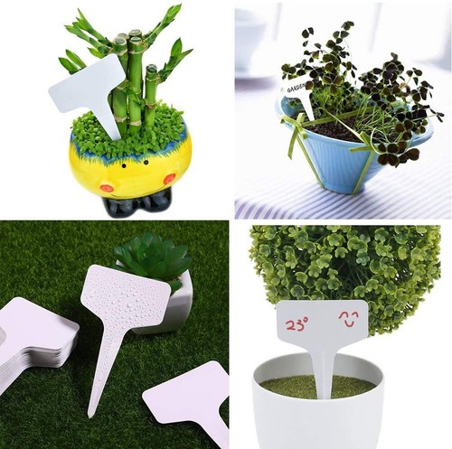White T-Shaped Plant Labels | Color Mix Marker Seed Stake Reusable Waterproof - Bild 36 von 98