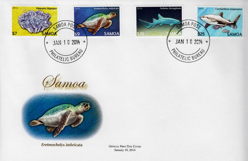 Samoa 2014 FDC Threatened Species Pt 2 12v Set on 3 Covers Marine Fish Sharks - Image 2 of 2
