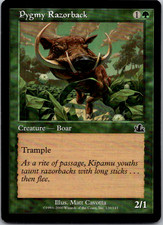 Pygmy Razorback C Prophecy 120 NM