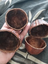CABOSSE de CACAO vide séché
