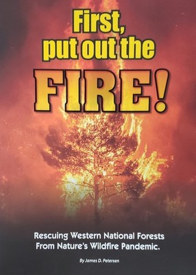 First, Put Out the Fire!